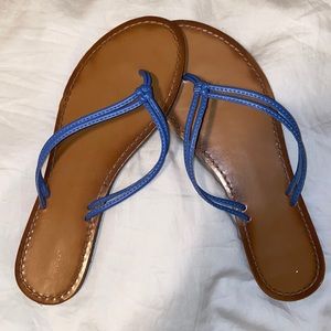 Cute Blue and Tan Flip Flops